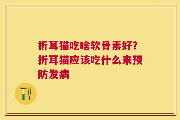 折耳猫吃啥软骨素好?折耳猫应该吃什么来预防发病