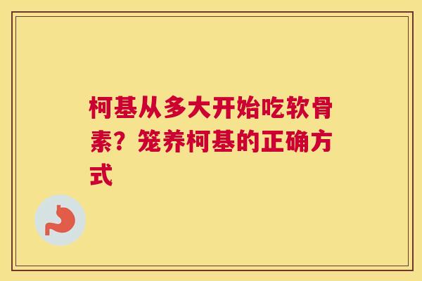 柯基从多大开始吃软骨素?笼养柯基的正确方式