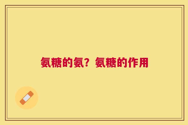 氨糖的氨?氨糖的作用