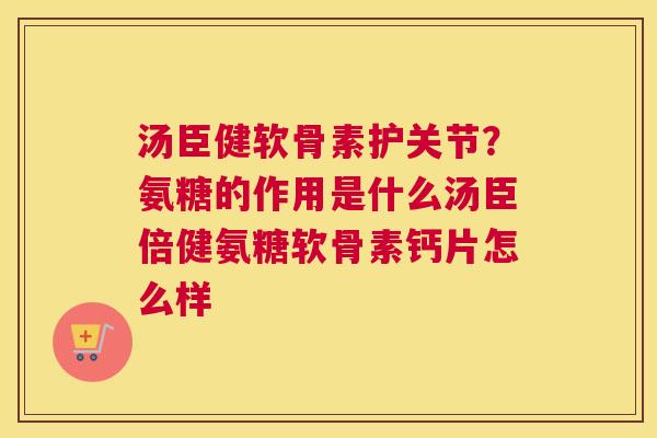 汤臣健软骨素护关节?氨糖的作用是什么汤臣倍健氨糖软骨素钙片怎么样