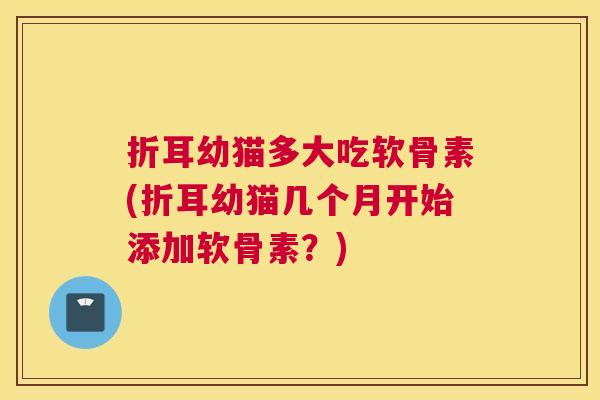折耳幼猫多大吃软骨素(折耳幼猫几个月开始添加软骨素?)