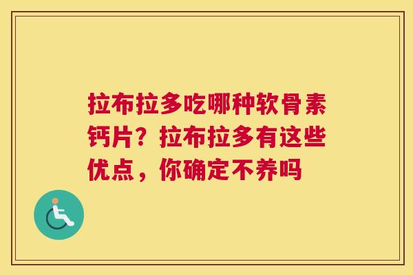 拉布拉多吃哪种软骨素钙片?拉布拉多有这些优点,你确定不养吗