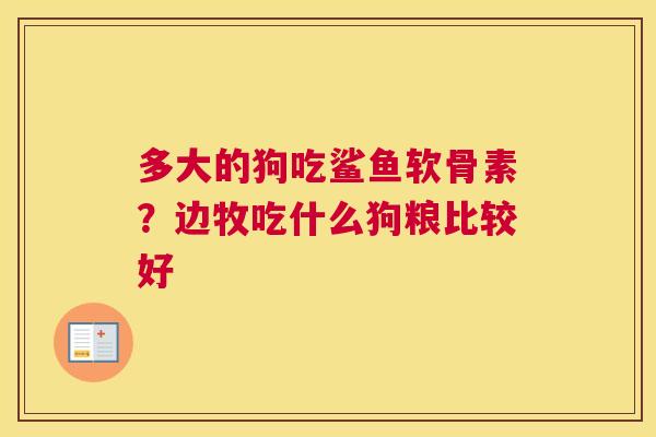多大的狗吃鲨鱼软骨素？边牧吃什么狗粮比较好