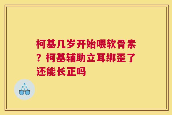 柯基几岁开始喂软骨素？柯基辅助立耳绑歪了还能长正吗