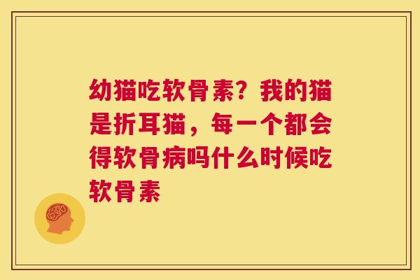 幼猫吃软骨素?我的猫是折耳猫,每一个都会得软骨病吗什么时候吃软骨素
