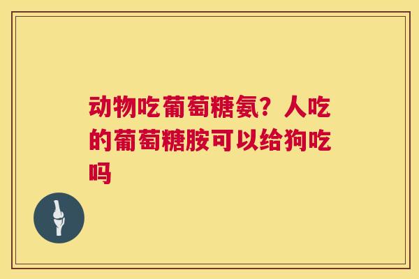动物吃葡萄糖氨？人吃的葡萄糖胺可以给狗吃吗
