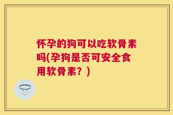 怀孕的狗可以吃软骨素吗(孕狗是否可安全食用软骨素?)