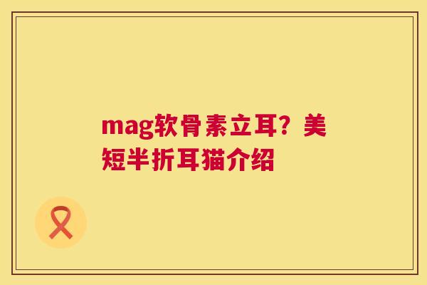 mag软骨素立耳?美短半折耳猫介绍