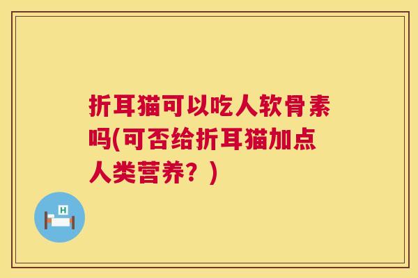 折耳猫可以吃人软骨素吗(可否给折耳猫加点人类营养?)