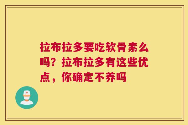 拉布拉多要吃软骨素么吗？拉布拉多有这些优点，你确定不养吗