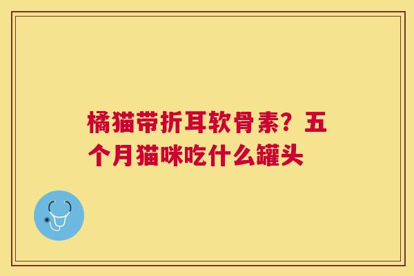 橘猫带折耳软骨素?五个月猫咪吃什么罐头