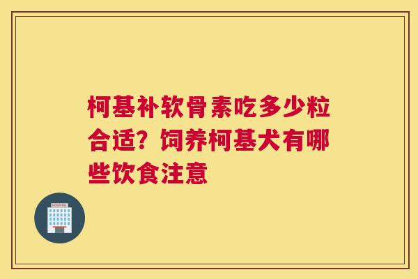 柯基补软骨素吃多少粒合适?饲养柯基犬有哪些饮食注意