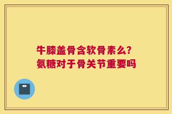 牛膝盖骨含软骨素么?氨糖对于骨关节重要吗