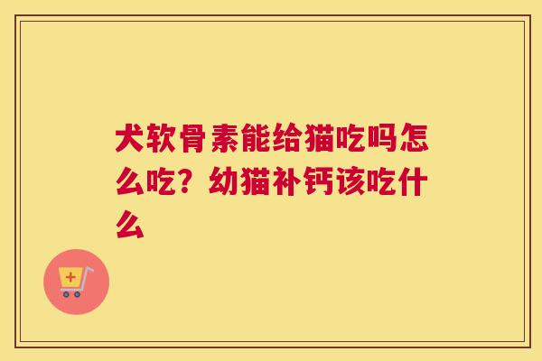 犬软骨素能给猫吃吗怎么吃？幼猫补钙该吃什么