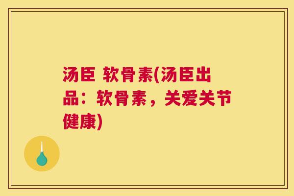 汤臣 软骨素(汤臣出品：软骨素，关爱关节健康)