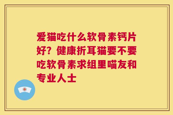 爱猫吃什么软骨素钙片好？健康折耳猫要不要吃软骨素求组里喵友和专业人士