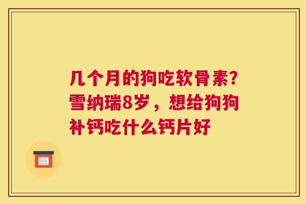 几个月的狗吃软骨素？雪纳瑞8岁，想给狗狗补钙吃什么钙片好