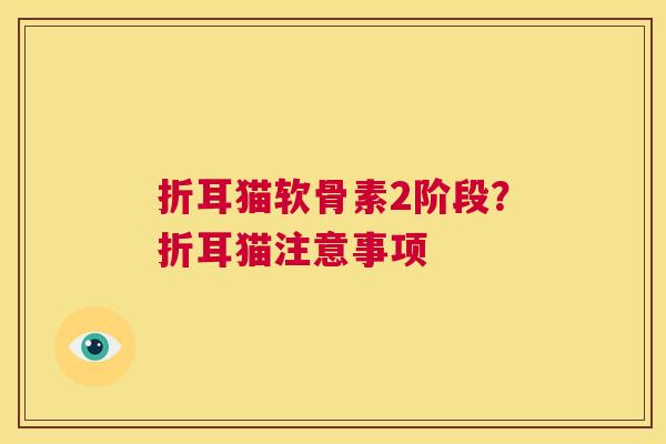 折耳猫软骨素2阶段？折耳猫注意事项