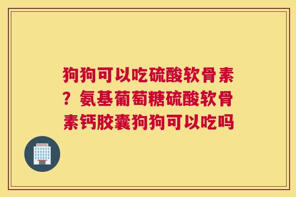 狗狗可以吃硫酸软骨素?氨基葡萄糖硫酸软骨素钙胶囊狗狗可以吃吗