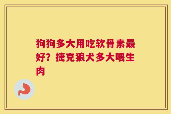 狗狗多大用吃软骨素最好?捷克狼犬多大喂生肉