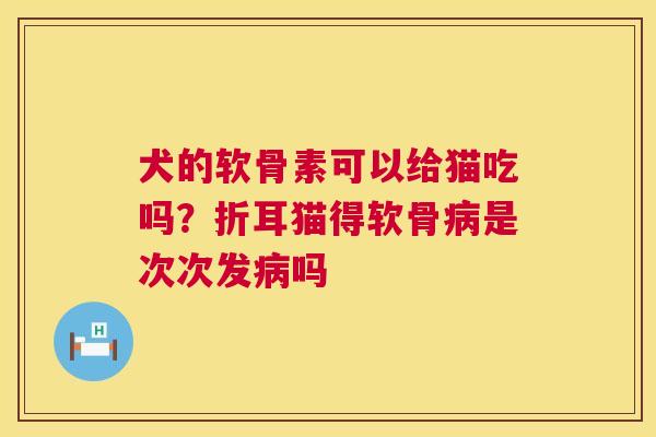 犬的软骨素可以给猫吃吗?折耳猫得软骨是次次发吗 犬的软骨素可以给猫吃吗?折耳猫得软骨是次次发吗