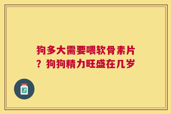 狗多大需要喂软骨素片?狗狗精力旺盛在几岁 狗多大需要喂软骨素片?狗狗精力旺盛在几岁