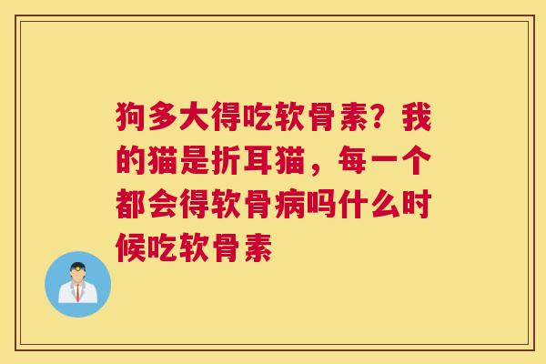 狗多大得吃软骨素?我的猫是折耳猫,每一个都会得软骨病吗什么时候吃软骨素