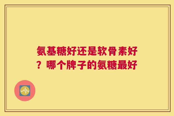 氨基糖好还是软骨素好?哪个牌子的氨糖最好