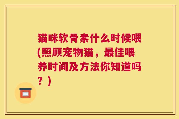 猫咪软骨素什么时候喂(照顾宠物猫,最佳喂养时间及方法你知道吗?)