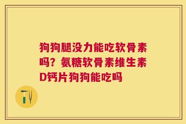 狗狗腿没力能吃软骨素吗？氨糖软骨素维生素D钙片狗狗能吃吗