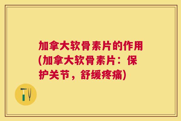 加拿大软骨素片的作用(加拿大软骨素片:保护关节,舒缓疼痛)