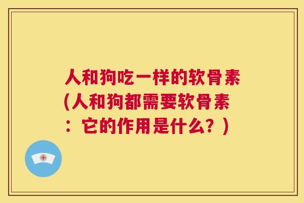 人和狗吃一样的软骨素(人和狗都需要软骨素:它的作用是什么?)