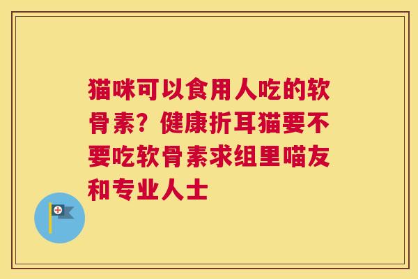 猫咪可以食用人吃的软骨素?健康折耳猫要不要吃软骨素求组里喵友和专业人士