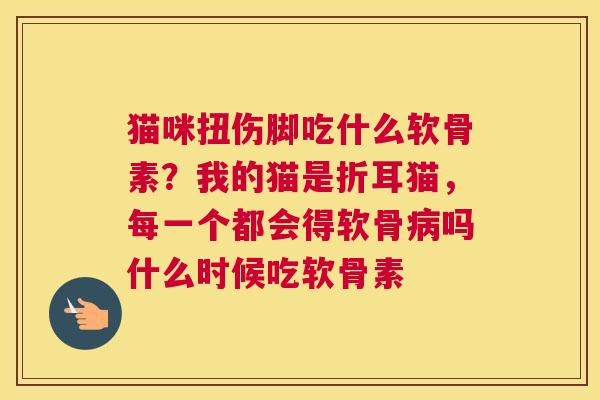 猫咪扭伤脚吃什么软骨素?我的猫是折耳猫,每一个都会得软骨病吗什么时候吃软骨素