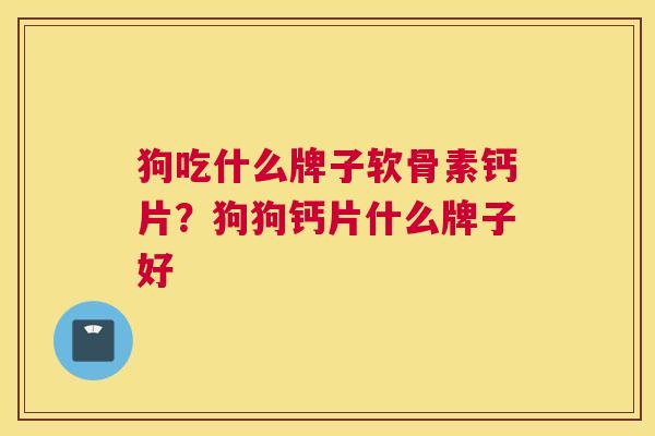 狗吃什么牌子软骨素钙片?狗狗钙片什么牌子好