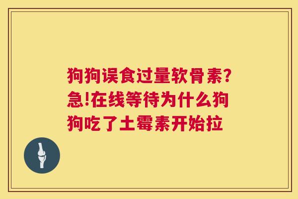 狗狗误食过量软骨素？急!在线等待为什么狗狗吃了土霉素开始拉