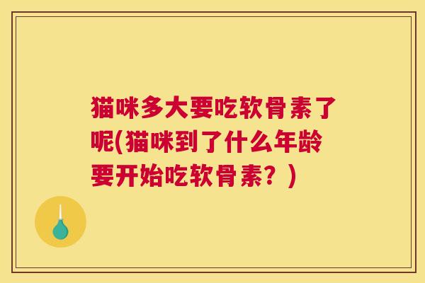 猫咪多大要吃软骨素了呢(猫咪到了什么年龄要开始吃软骨素?) 猫咪多大要吃软骨素了呢(猫咪到了什么年龄要开始吃软骨素?)