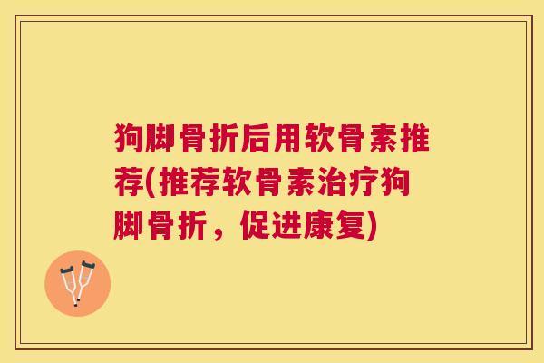 狗脚骨折后用软骨素推荐(推荐软骨素治疗狗脚骨折,促进康复)