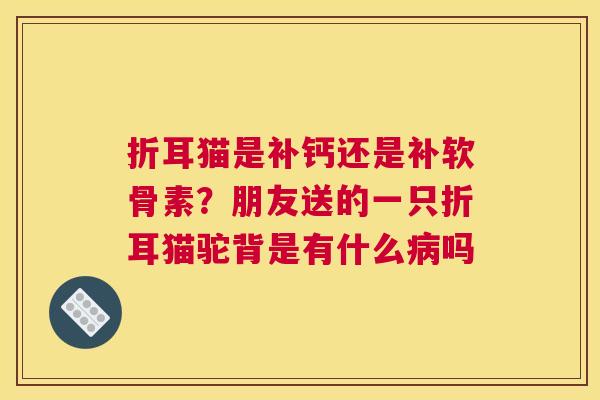 折耳猫是补钙还是补软骨素?朋友送的一只折耳猫驼背是有什么病吗