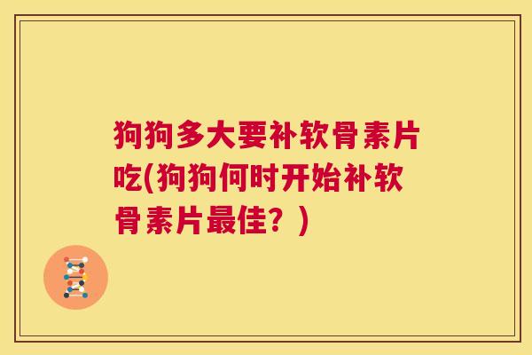 狗狗多大要补软骨素片吃(狗狗何时开始补软骨素片最佳?)