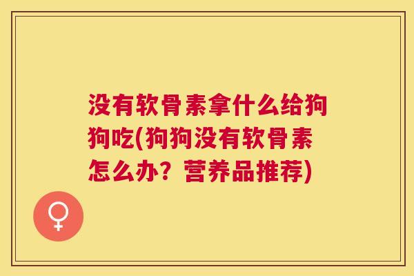 没有软骨素拿什么给狗狗吃(狗狗没有软骨素怎么办?营养品推荐)