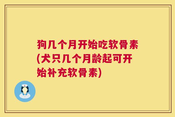 狗几个月开始吃软骨素(犬只几个月龄起可开始补充软骨素)