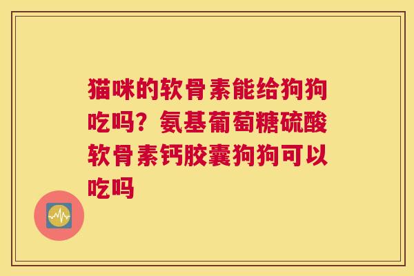 猫咪的软骨素能给狗狗吃吗?氨基葡萄糖硫酸软骨素钙胶囊狗狗可以吃吗