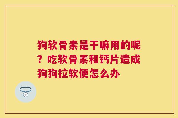 狗软骨素是干嘛用的呢?吃软骨素和钙片造成狗狗拉软便怎么办 狗软骨素是干嘛用的呢?吃软骨素和钙片造成狗狗拉软便怎么办