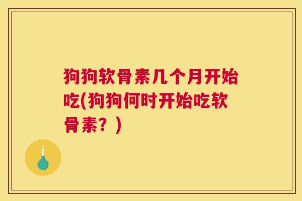 狗狗软骨素几个月开始吃(狗狗何时开始吃软骨素?)