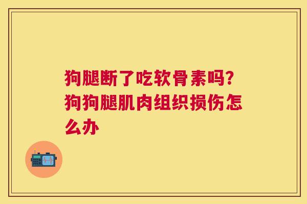 狗腿断了吃软骨素吗?狗狗腿肌肉组织损伤怎么办