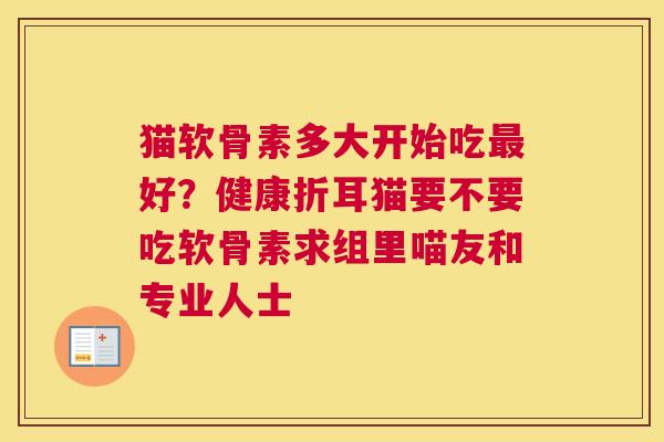 猫软骨素多大开始吃好？健康折耳猫要不要吃软骨素求组里喵友和专业人士