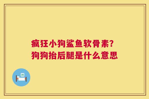 疯狂小狗鲨鱼软骨素?狗狗抬后腿是什么意思