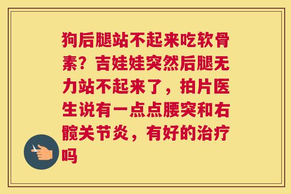 狗后腿站不起来吃软骨素？吉娃娃突然后腿无力站不起来了，拍片医生说有一点点腰突和右髋关节炎，有好的治疗吗