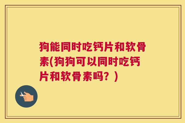 狗能同时吃钙片和软骨素(狗狗可以同时吃钙片和软骨素吗?) 狗能同时吃钙片和软骨素(狗狗可以同时吃钙片和软骨素吗?)